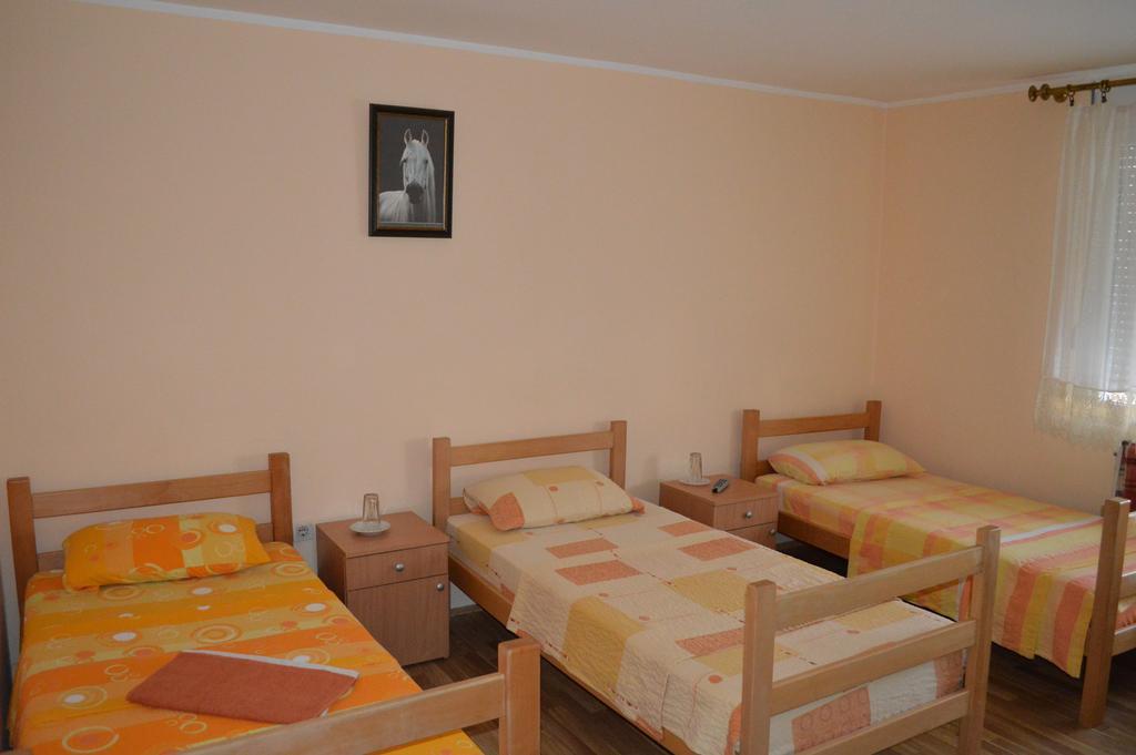 Hotel Pansion Lug Bělehrad Pokoj fotografie